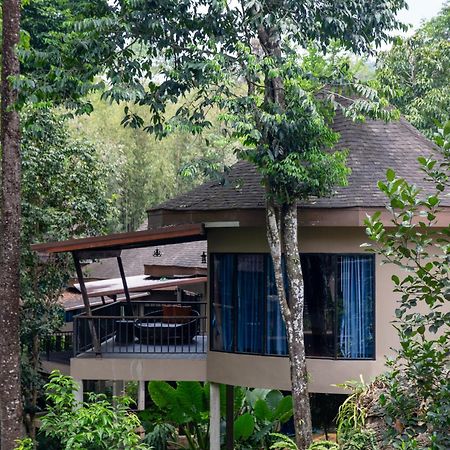 Rock And Tree House Resort Khao Sok National Park Exterior foto