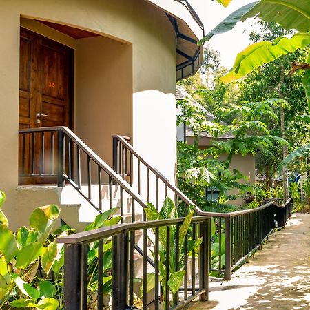 Rock And Tree House Resort Khao Sok National Park Exterior foto