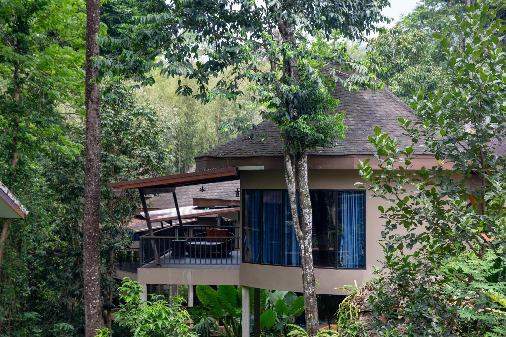 Rock And Tree House Resort Khao Sok National Park Exterior foto